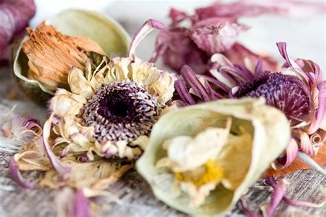 How Long Do Silica Gel Flowers Last: A Detailed Exploration