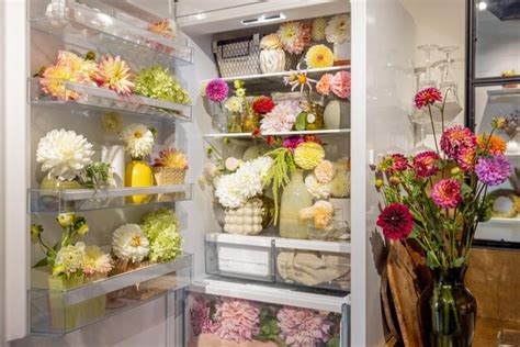 Should I Refrigerate Flowers? And Other Blooming Dilemmas